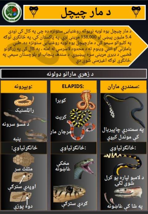 Snake Bite Guidelines in Pashtu